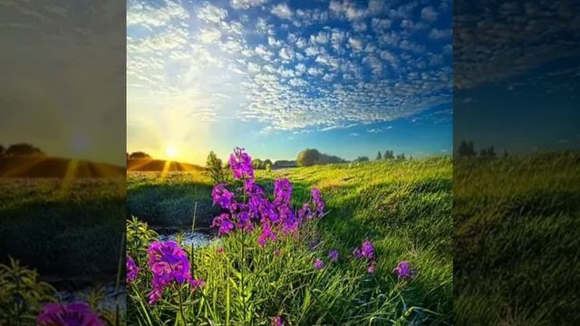 АЛАТЫРЬ , СТЕМАСЫ . ,, ДОМ НАШ ОПУСТЕЛ ,, смотреть онлайн