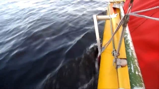 Ладога 2013 смотреть онлайн