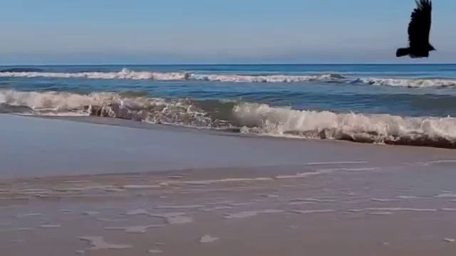 Video_1132520868543.mp4