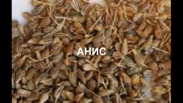 Польза специй Анис Полезные свойства аниса смотреть онлайн