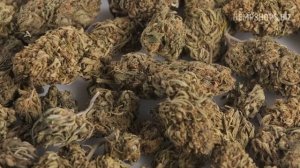 Конопля закон, можно построить дом из конопли, производитель конопли, купить из конопли товары