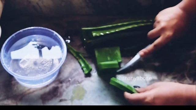 How To Remove The Poison From Aloe Vera | No Itching | Use Aloe Vera Properly | Aloin смотреть онлайн