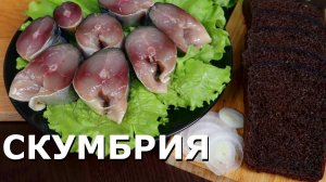 Как засолить СКУМБРИЮ  в домашних условиях | Рецепт малосольная Скумбрия