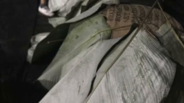 Шоколадные деревья смотреть онлайн