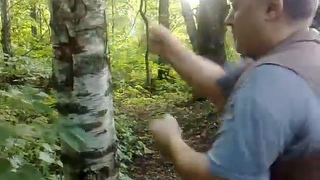 Отработка ударов смотреть онлайн