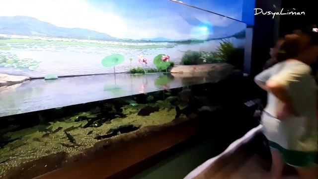 Тут есть всё. Кроме бермудского треугольника) смотреть онлайн