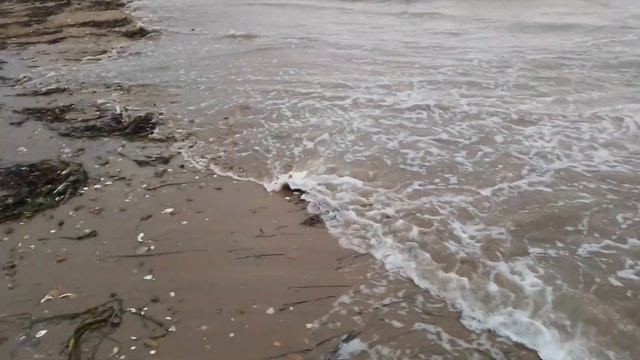Лазу́рная (также Ша́мора) — бухта Уссурийского залива Японского моря смотреть онлайн