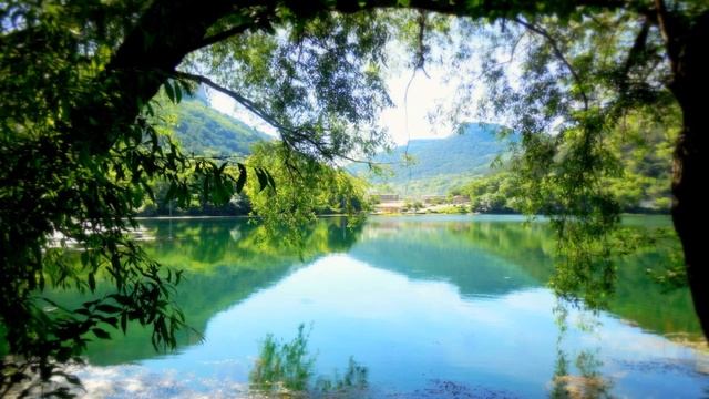 Энергетические паразиты. смотреть онлайн