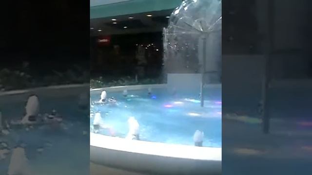 Фантан в сан сити смотреть онлайн