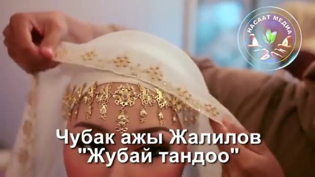 Чубак ажы Жалилов:Жубай тандоо! смотреть онлайн