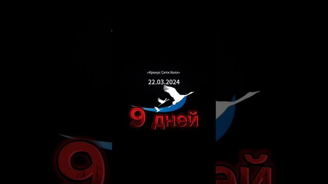 scene_output.mp4 смотреть онлайн