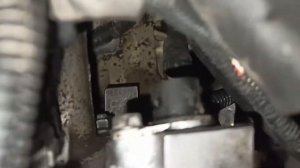 Kia spectra s6d где находится номер двигателя