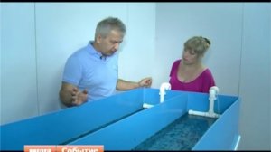 Осетровая ферма: выращивание и разведение осетра