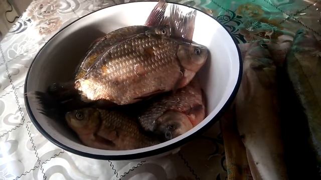 Наловила карасей)))))))))) на рынке и купила мяса уголочки. смотреть онлайн