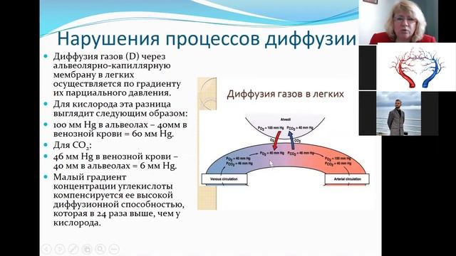 Патофизиология дыхания (лекция) смотреть онлайн