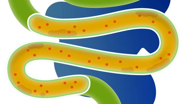 ФИТОМУЦИЛ НОРМ как действует