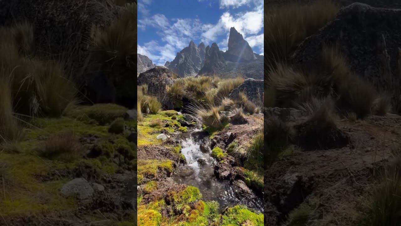 Гора Кения. Африка прекрасна ️ Mount Kenya. Africa is amazing ️ смотреть онлайн