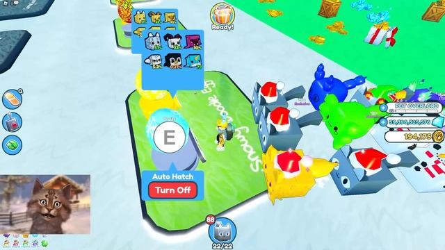WE GOT THE HUGE DOODLE CAT IN ROBLOX PET SIMULATOR X смотреть онлайн