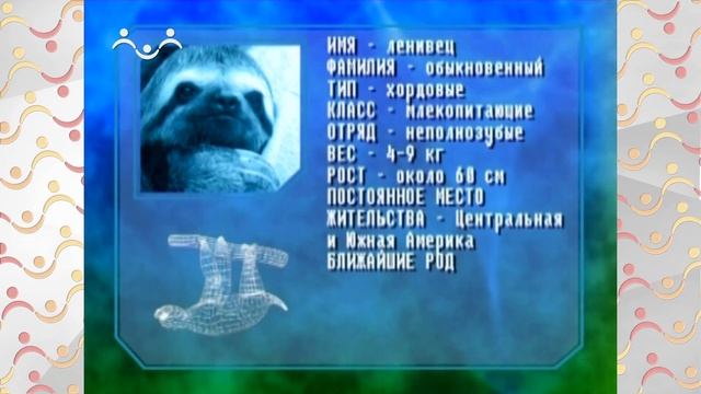 АЗН. Биология. Джунгли. Ленивцы. Почему у утки два желудка? смотреть онлайн