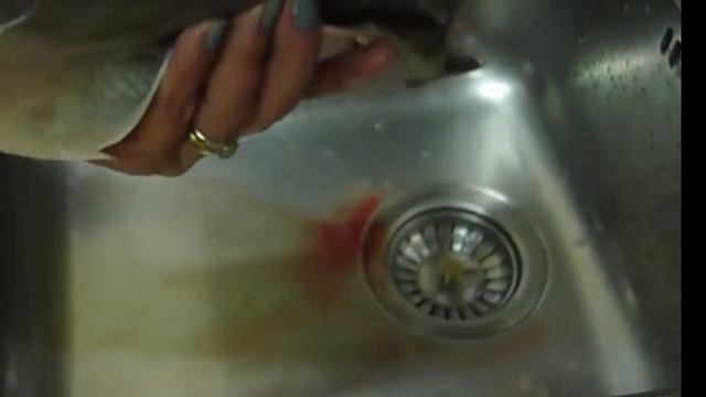 Pesce Porco o Balestra Рыба Серый Спинорог как Почистить и Готовить смотреть онлайн