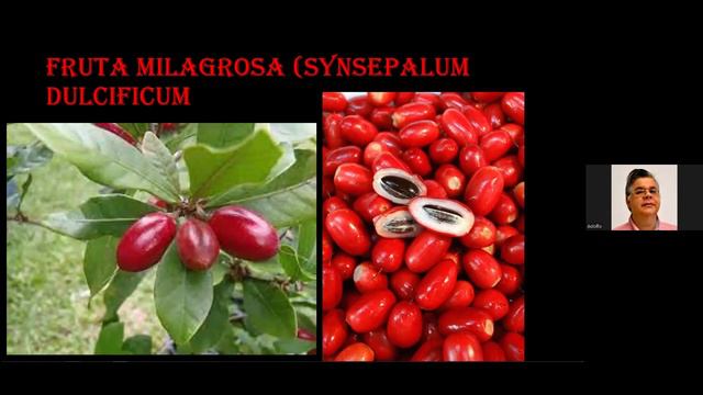 Frutales recomendados para el jardín смотреть онлайн