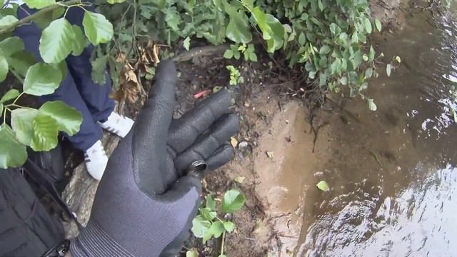 ЗОЛОТО ! неожиданно ! Коп в воде 2019 !!! Sondeln Im Wasser 2019! Treasurehunting