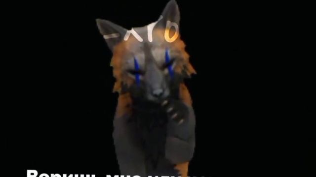 Wcmv/Я тебе конечно верю/For