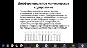 Сети // Лекция 1 Физический уровень