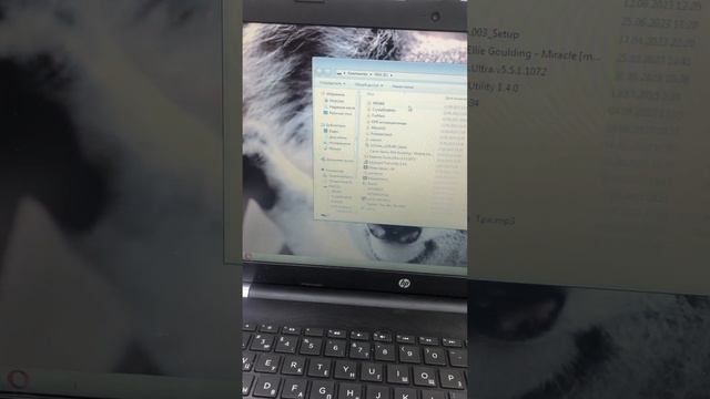 Ноутбук Hp Laptop 15-bw0xx смотреть онлайн