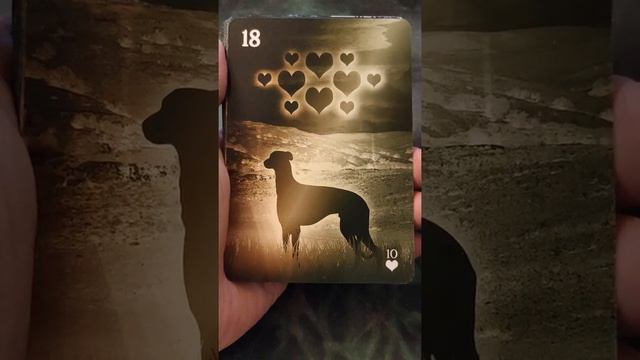 Healing Light Lenormand Deck Flip Through смотреть онлайн