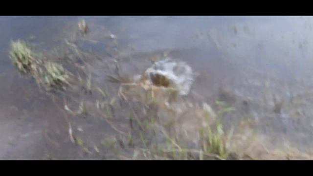 Рыбалка в трёх шагах от дома. смотреть онлайн