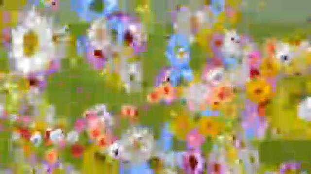 Полетели вдруг цветы смотреть онлайн