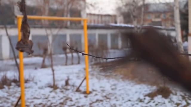 Sony Alpha SLT-A37 (Test Video) смотреть онлайн