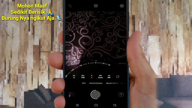 CARA MENGGUNAKAN KAMERA PROFESIONAL | DI VIVO Y91C смотреть онлайн