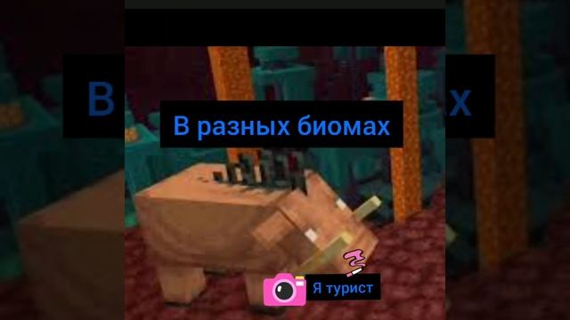 краткий обзор про ХОГЛИНА Minecraft смотреть онлайн