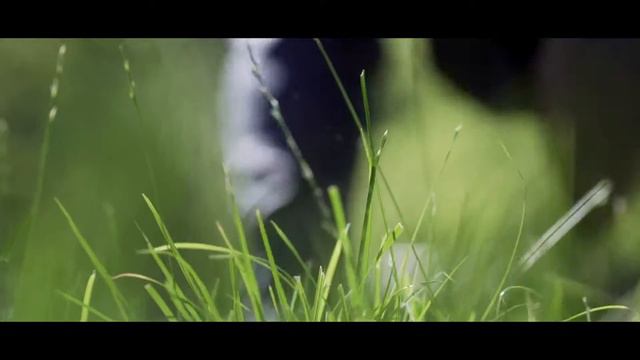 Видеооператор на свадьбу, дни рождения. смотреть онлайн