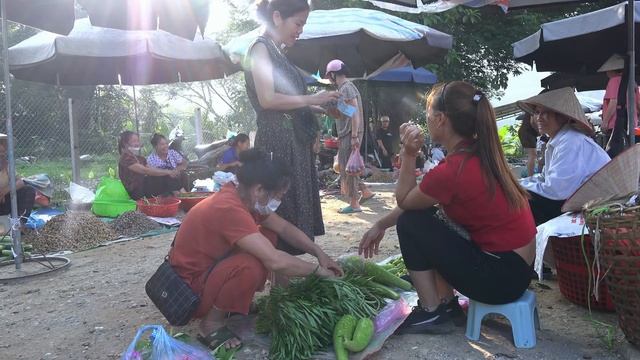 Build A Farm - HarvestIing Vegetables To Sell - farm life Triệu Lily смотреть онлайн