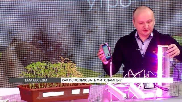 Как использовать фитолампы? смотреть онлайн