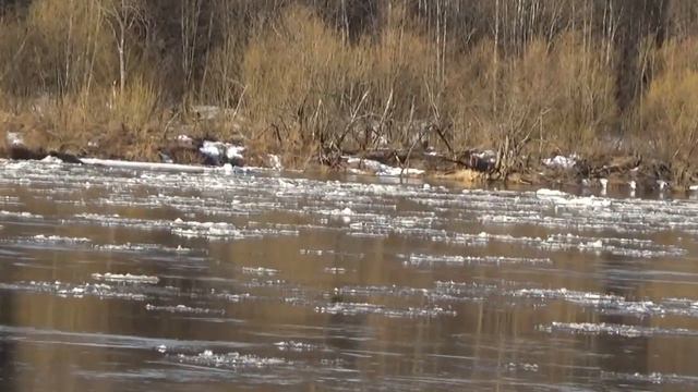 Лёд тронулся смотреть онлайн