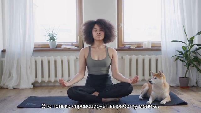 Как помочь собаке при ложной беременности? смотреть онлайн