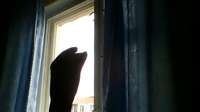 Запись с камеры 40 смотреть онлайн