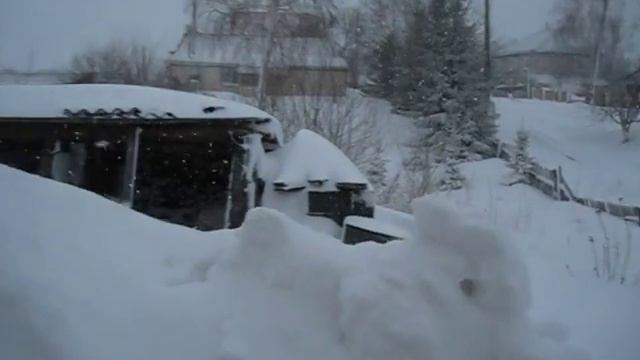 24 декабря 2015г Змеиногорск смотреть онлайн