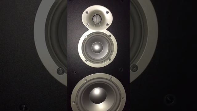 Infinity Classia C336 Music Test смотреть онлайн