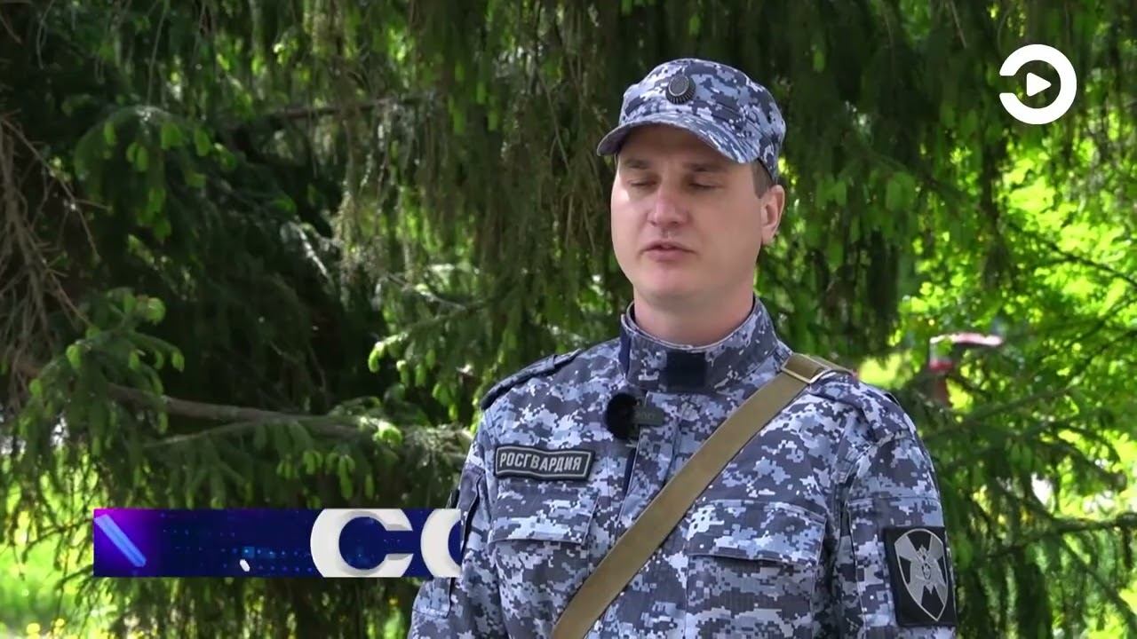 Кража профлистов смотреть онлайн