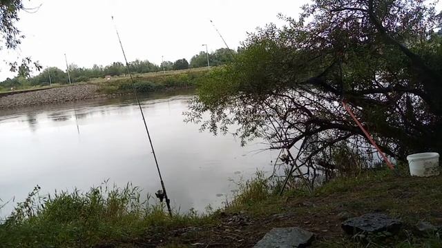 Рыбалка На Карпа Летом 2021 Мини Бойлы смотреть онлайн