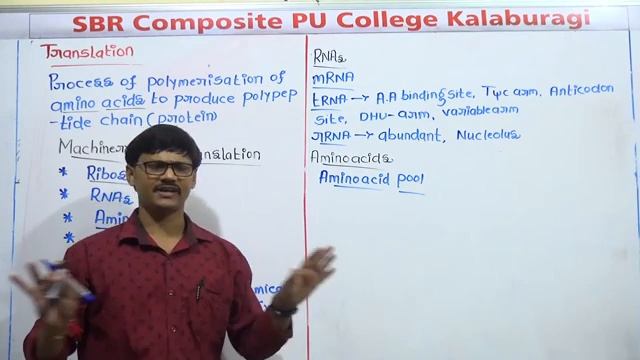 BOTANY-Molecular basis of inheritance -Translation-27-08-2020 смотреть онлайн
