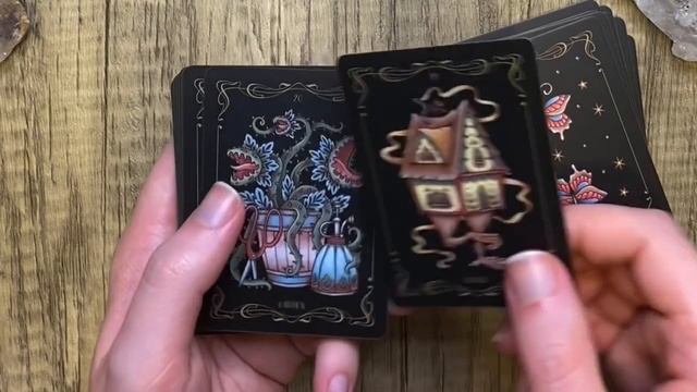 The Nocturnal Garden Lenormand Walkthrough смотреть онлайн
