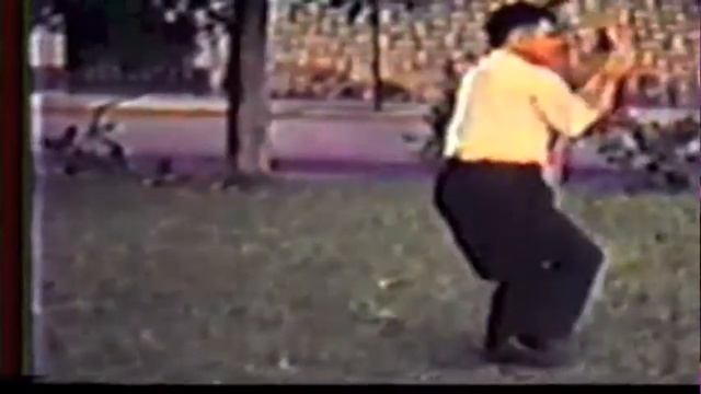 Legendary Tai Chi boss Cheng Tin Hung demonstrating the hand form смотреть онлайн