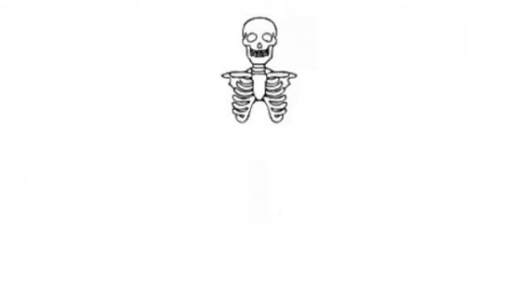 How to draw human skeleton step by step || Skeleton Diagram || Rohit's Drawing Academy ||