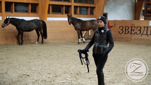 Иерархия в табуне. Как стать лидером для своей лошади. Язык лошадей смотреть онлайн